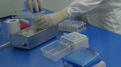 合肥一医院可以做亲子鉴定吗，合肥医院办理DNA鉴定办理流程