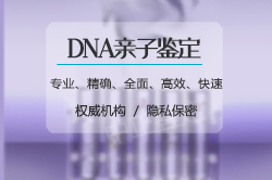 合肥亲子鉴定中心收费，合肥亲子鉴定机构预约办理
