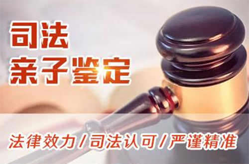 合肥司法DNA鉴定多少钱一次,